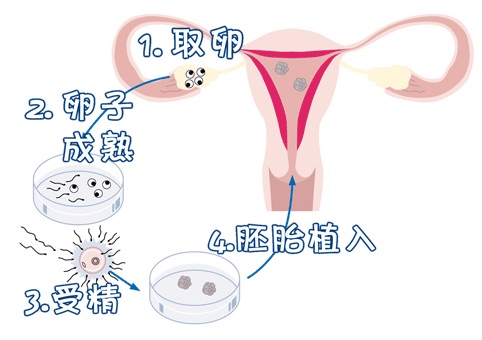 心理科
